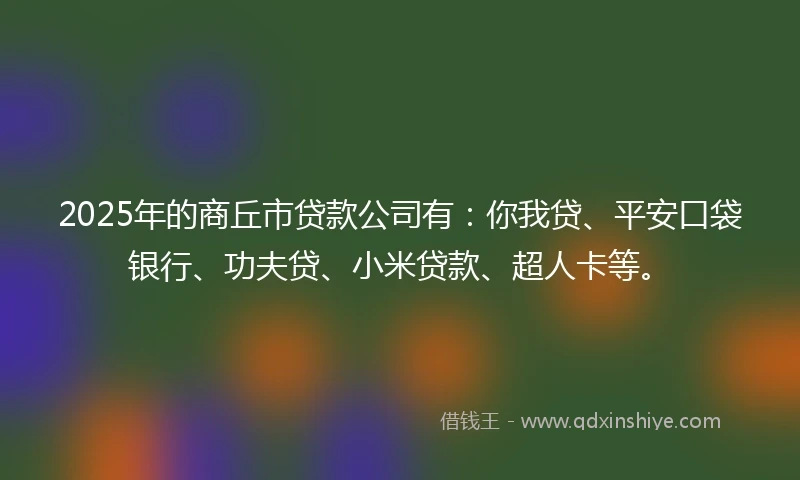 2025年的商丘市贷款公司有：你我贷、平安口袋银行、功夫贷、小米贷款、超人卡等。
