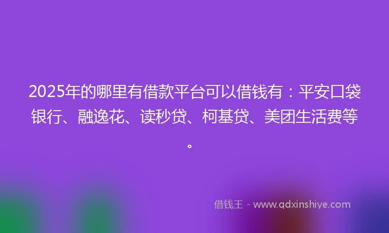 2025年的哪里有借款平台可以借钱有：平安口袋银行、融逸花、读秒贷、柯基贷、美团生活费等。
