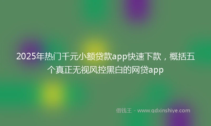 2025年热门千元小额贷款app快速下款，概括五个真正无视风控黑白的网贷app