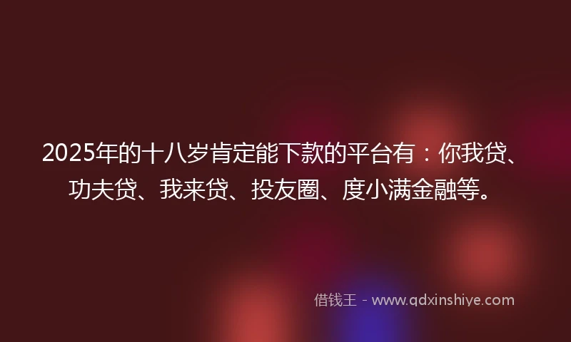 2025年的十八岁肯定能下款的平台有：你我贷、功夫贷、我来贷、投友圈、度小满金融等。