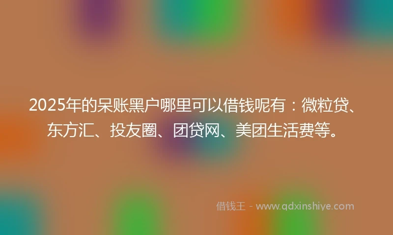 2025年的呆账黑户哪里可以借钱呢有:微粒贷、东方汇、投友圈、团贷网、美团生活费等。