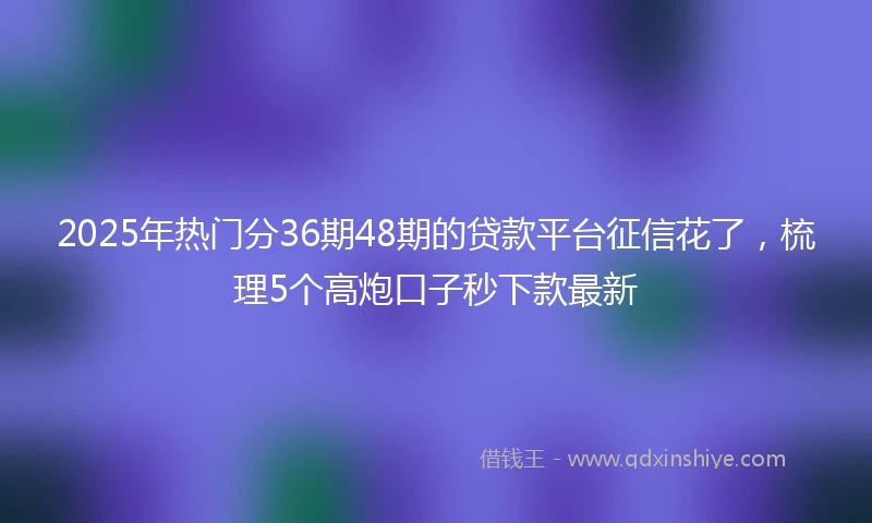 2025年热门分36期48期的贷款平台征信花了，梳理5个高炮口子秒下款最新