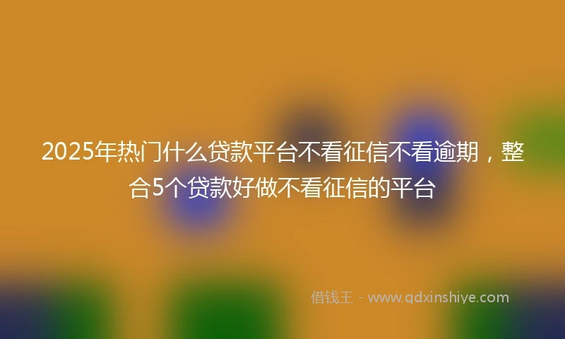 2025年热门什么贷款平台不看征信不看逾期，整合5个贷款好做不看征信的平台