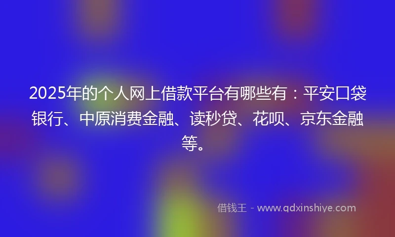 2025年的个人网上借款平台有哪些有：平安口袋银行、中原消费金融、读秒贷、花呗、京东金融等。