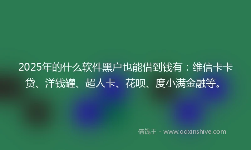 2025年的什么软件黑户也能借到钱有：维信卡卡贷、洋钱罐、超人卡、花呗、度小满金融等。