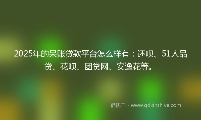 2025年的呆账贷款平台怎么样有：还呗、51人品贷、花呗、团贷网、安逸花等。