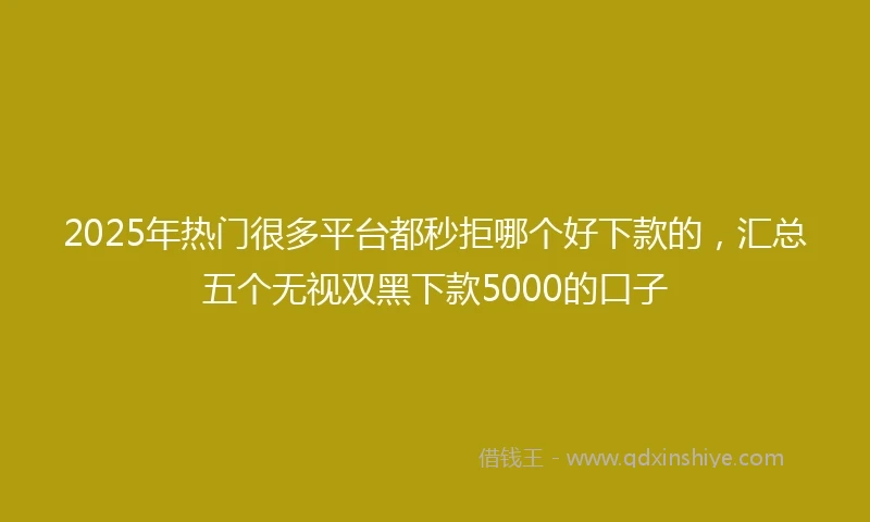 2025年热门很多平台都秒拒哪个好下款的，汇总五个无视双黑下款5000的口子
