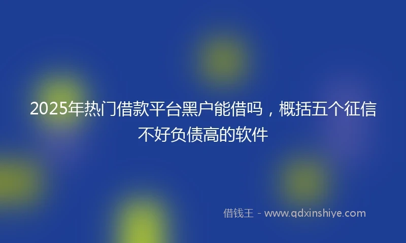 2025年热门借款平台黑户能借吗，概括五个征信不好负债高的软件