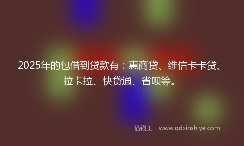 2025年的包借到贷款有：惠商贷、维信卡卡贷、拉卡拉、快贷通、省呗等。