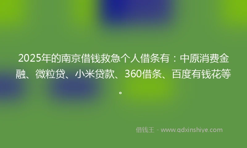 2025年的南京借钱救急个人借条有：中原消费金融、微粒贷、小米贷款、360借条、百度有钱花等。
