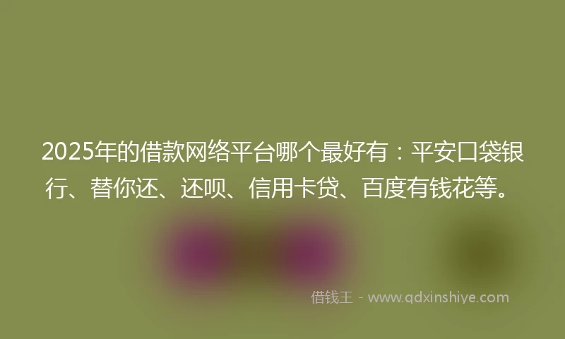 2025年的借款网络平台哪个最好有：平安口袋银行、替你还、还呗、信用卡贷、百度有钱花等。