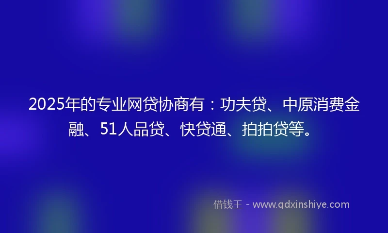 2025年的专业网贷协商有：功夫贷、中原消费金融、51人品贷、快贷通、拍拍贷等。