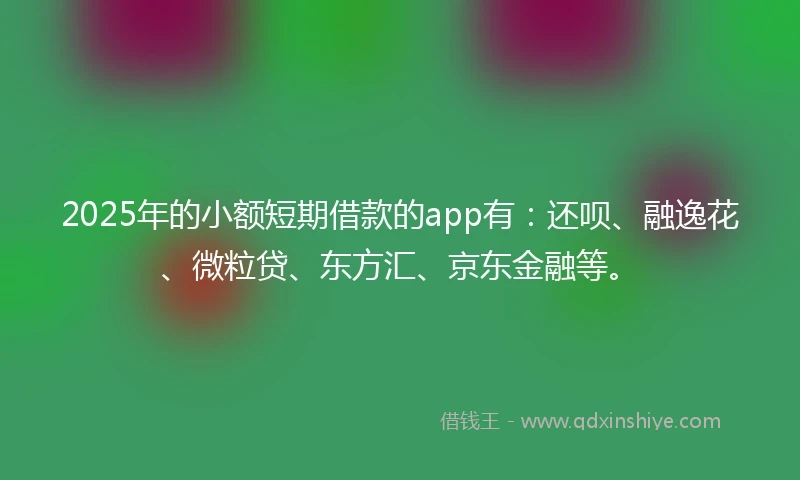 2025年的小额短期借款的app有：还呗、融逸花、微粒贷、东方汇、京东金融等。