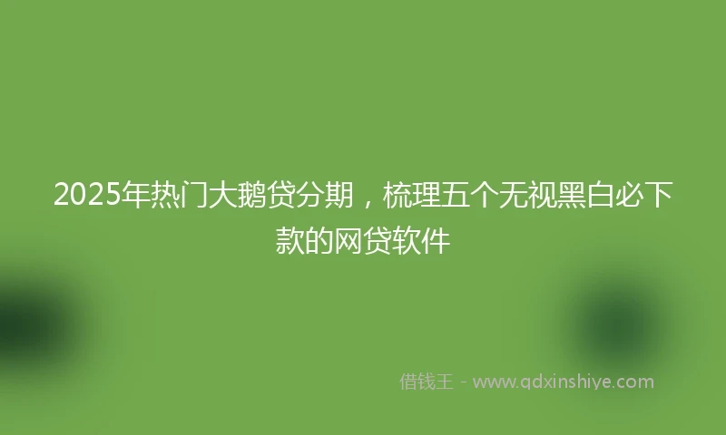 2025年热门大鹅贷分期，梳理五个无视黑白必下款的网贷软件