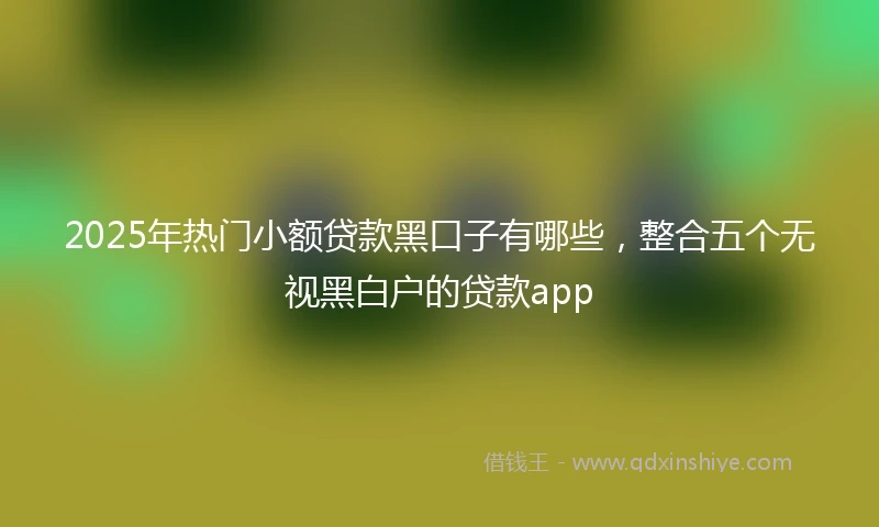 2025年热门小额贷款黑口子有哪些，整合五个无视黑白户的贷款app