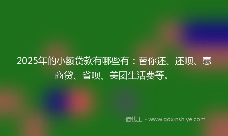 2025年的小额贷款有哪些有：替你还、还呗、惠商贷、省呗、美团生活费等。