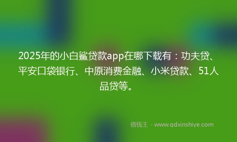 2025年的小白鲨贷款app在哪下载有：功夫贷、平安口袋银行、中原消费金融、小米贷款、51人品贷等。
