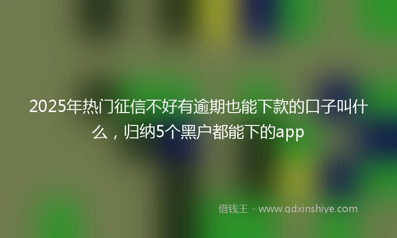 2025年热门征信不好有逾期也能下款的口子叫什么，归纳5个黑户都能下的app