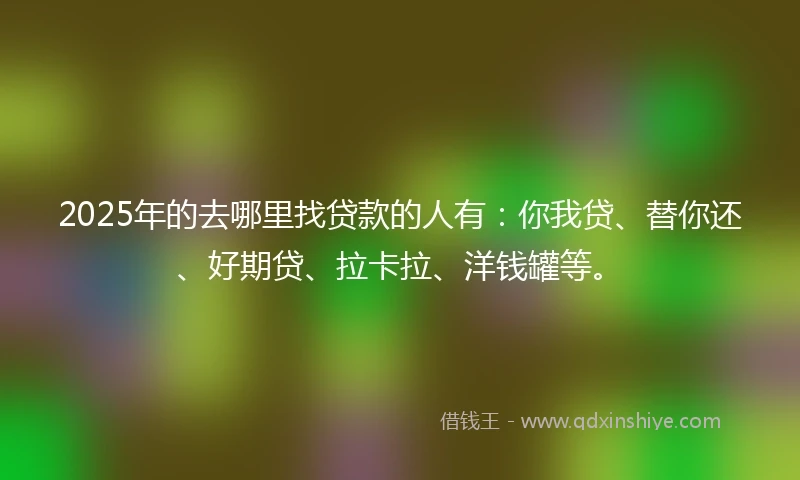 2025年的去哪里找贷款的人有：你我贷、替你还、好期贷、拉卡拉、洋钱罐等。