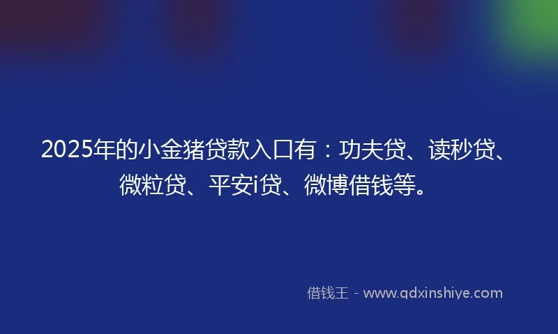2025年的小金猪贷款入口有：功夫贷、读秒贷、微粒贷、平安i贷、微博借钱等。