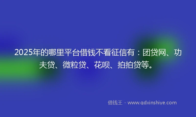 2025年的哪里平台借钱不看征信有：团贷网、功夫贷、微粒贷、花呗、拍拍贷等。