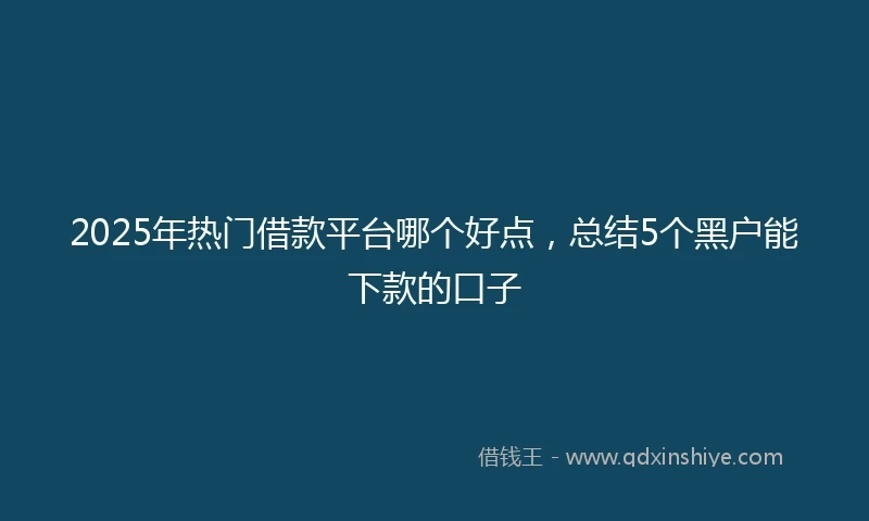 2025年热门借款平台哪个好点，总结5个黑户能下款的口子