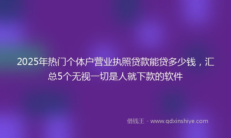 2025年热门个体户营业执照贷款能贷多少钱，汇总5个无视一切是人就下款的软件