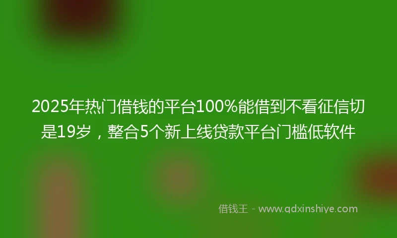 2025年热门借钱的平台100%能借到不看征信切是19岁，整合5个新上线贷款平台门槛低软件