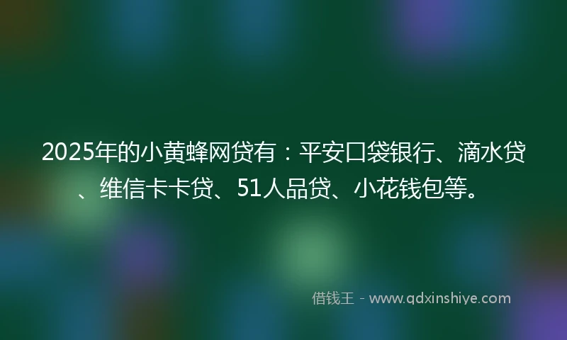 2025年的小黄蜂网贷有：平安口袋银行、滴水贷、维信卡卡贷、51人品贷、小花钱包等。