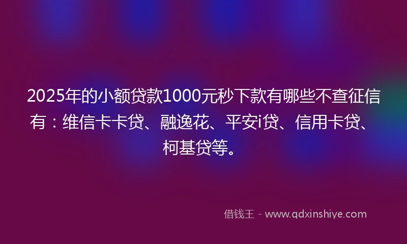 2025年的小额贷款1000元秒下款有哪些不查征信有：维信卡卡贷、融逸花、平安i贷、信用卡贷、柯基贷等。