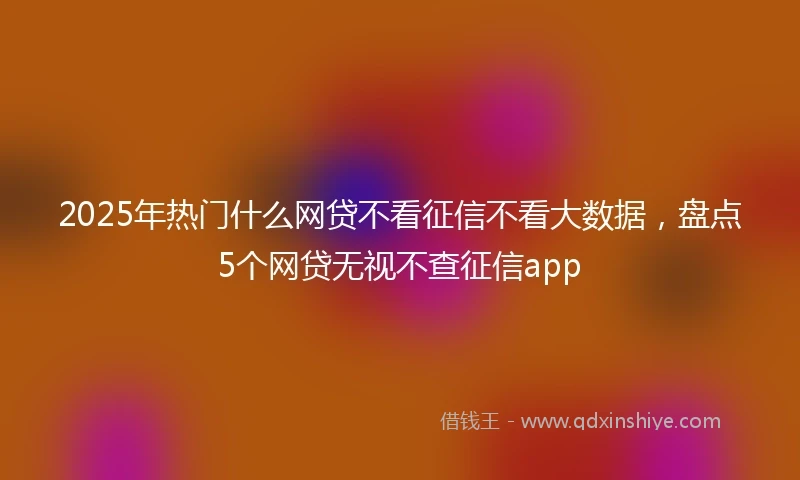 2025年热门什么网贷不看征信不看大数据，盘点5个网贷无视不查征信app