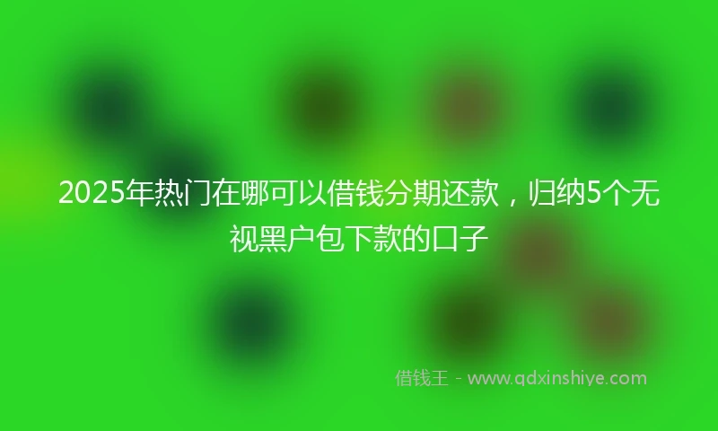 2025年热门在哪可以借钱分期还款，归纳5个无视黑户包下款的口子