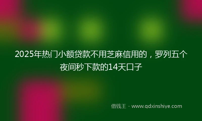 2025年热门小额贷款不用芝麻信用的，罗列五个夜间秒下款的14天口子