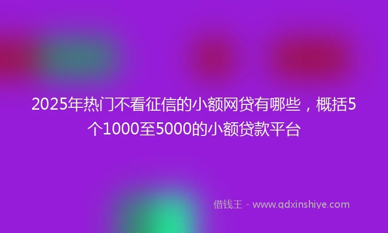 2025年热门不看征信的小额网贷有哪些，概括5个1000至5000的小额贷款平台