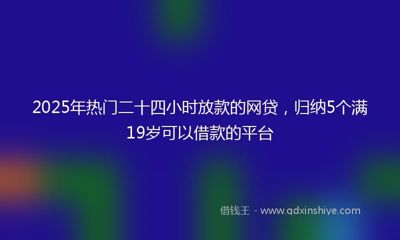 2025年热门二十四小时放款的网贷，归纳5个满19岁可以借款的平台