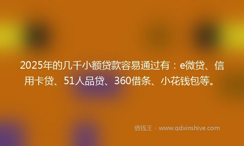 2025年的几千小额贷款容易通过有：e微贷、信用卡贷、51人品贷、360借条、小花钱包等。