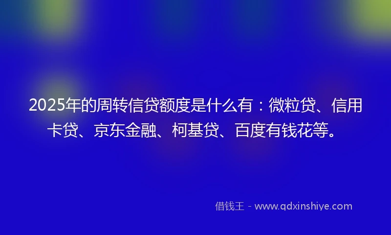 2025年的周转信贷额度是什么有：微粒贷、信用卡贷、京东金融、柯基贷、百度有钱花等。