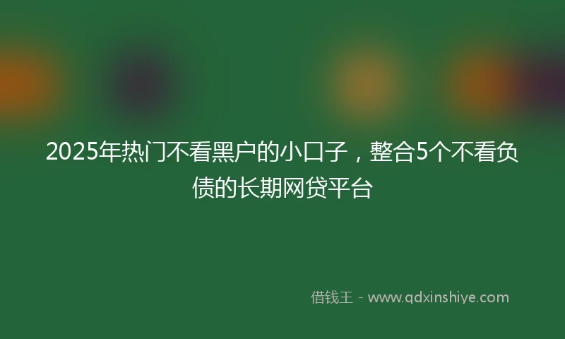2025年热门不看黑户的小口子，整合5个不看负债的长期网贷平台