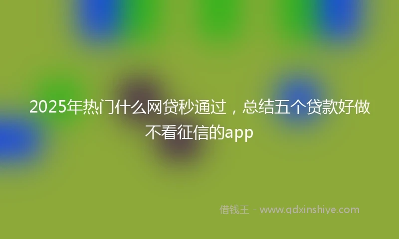 2025年热门什么网贷秒通过，总结五个贷款好做不看征信的app