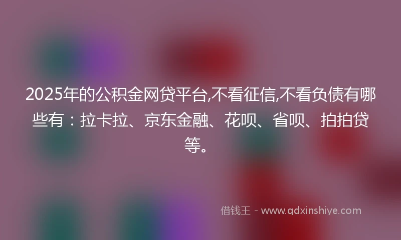 2025年的公积金网贷平台,不看征信,不看负债有哪些有：拉卡拉、京东金融、花呗、省呗、拍拍贷等。