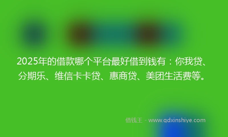 2025年的借款哪个平台最好借到钱有：你我贷、分期乐、维信卡卡贷、惠商贷、美团生活费等。