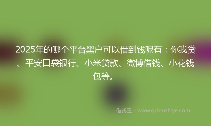 2025年的哪个平台黑户可以借到钱呢有：你我贷、平安口袋银行、小米贷款、微博借钱、小花钱包等。