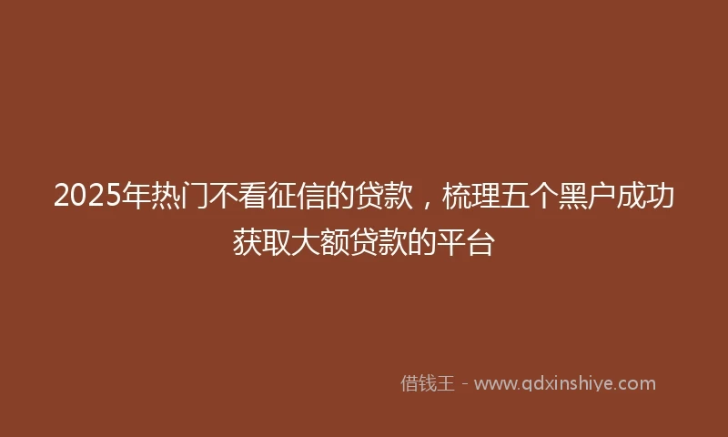 2025年热门不看征信的贷款，梳理五个黑户成功获取大额贷款的平台