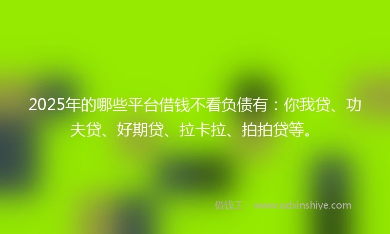 2025年的哪些平台借钱不看负债有：你我贷、功夫贷、好期贷、拉卡拉、拍拍贷等。