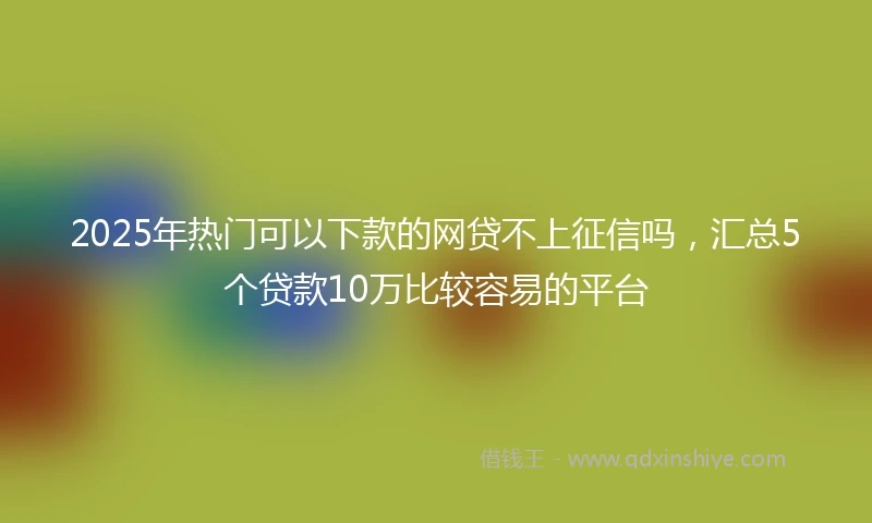 2025年热门可以下款的网贷不上征信吗，汇总5个贷款10万比较容易的平台