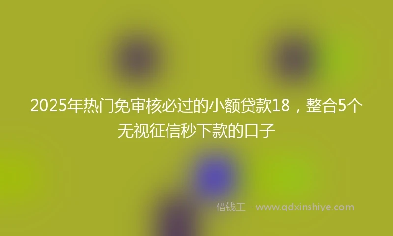 2025年热门免审核必过的小额贷款18，整合5个无视征信秒下款的口子