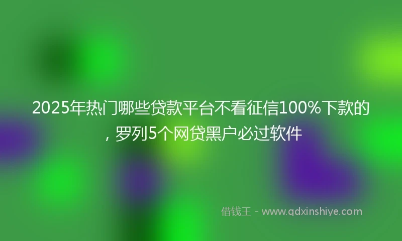 2025年热门哪些贷款平台不看征信100%下款的，罗列5个网贷黑户必过软件
