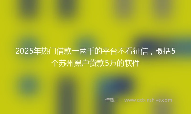2025年热门借款一两千的平台不看征信，概括5个苏州黑户贷款5万的软件