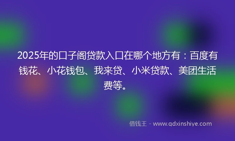 2025年的口子阁贷款入口在哪个地方有：百度有钱花、小花钱包、我来贷、小米贷款、美团生活费等。