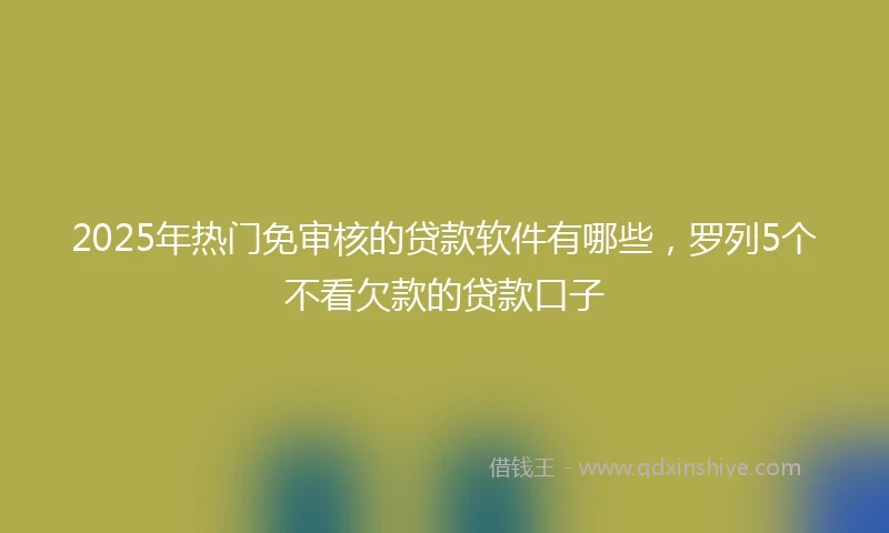 2025年热门免审核的贷款软件有哪些，罗列5个不看欠款的贷款口子